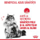 Royal Canin Hair & Skin Care – Hrană Umedă Premium pentru Pisici, pentru Piele și Blană Sănătoasă, 85gr
